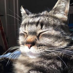 Meet your Posher, Kathryn